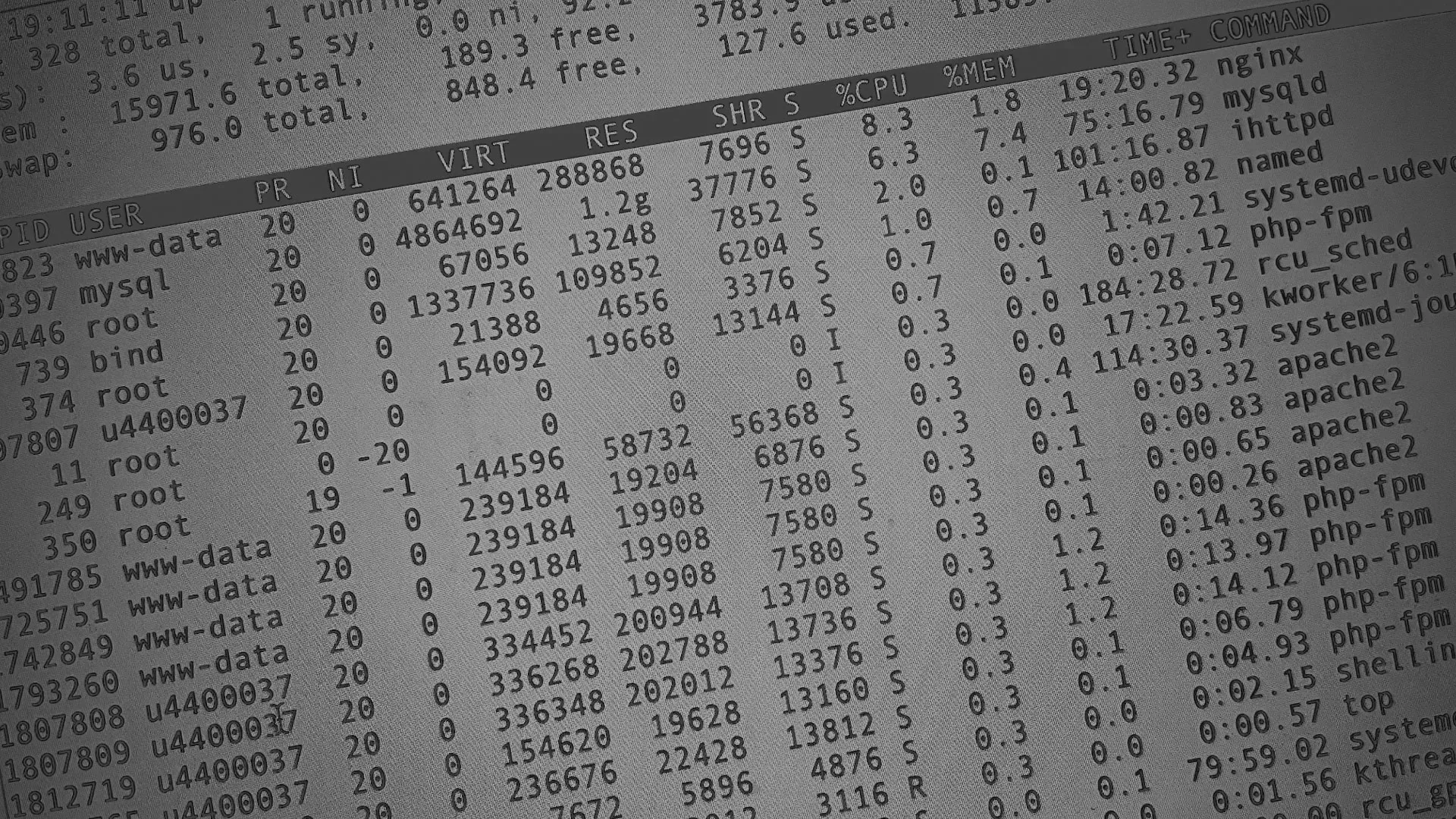 Настройка сервера в Бабушкине