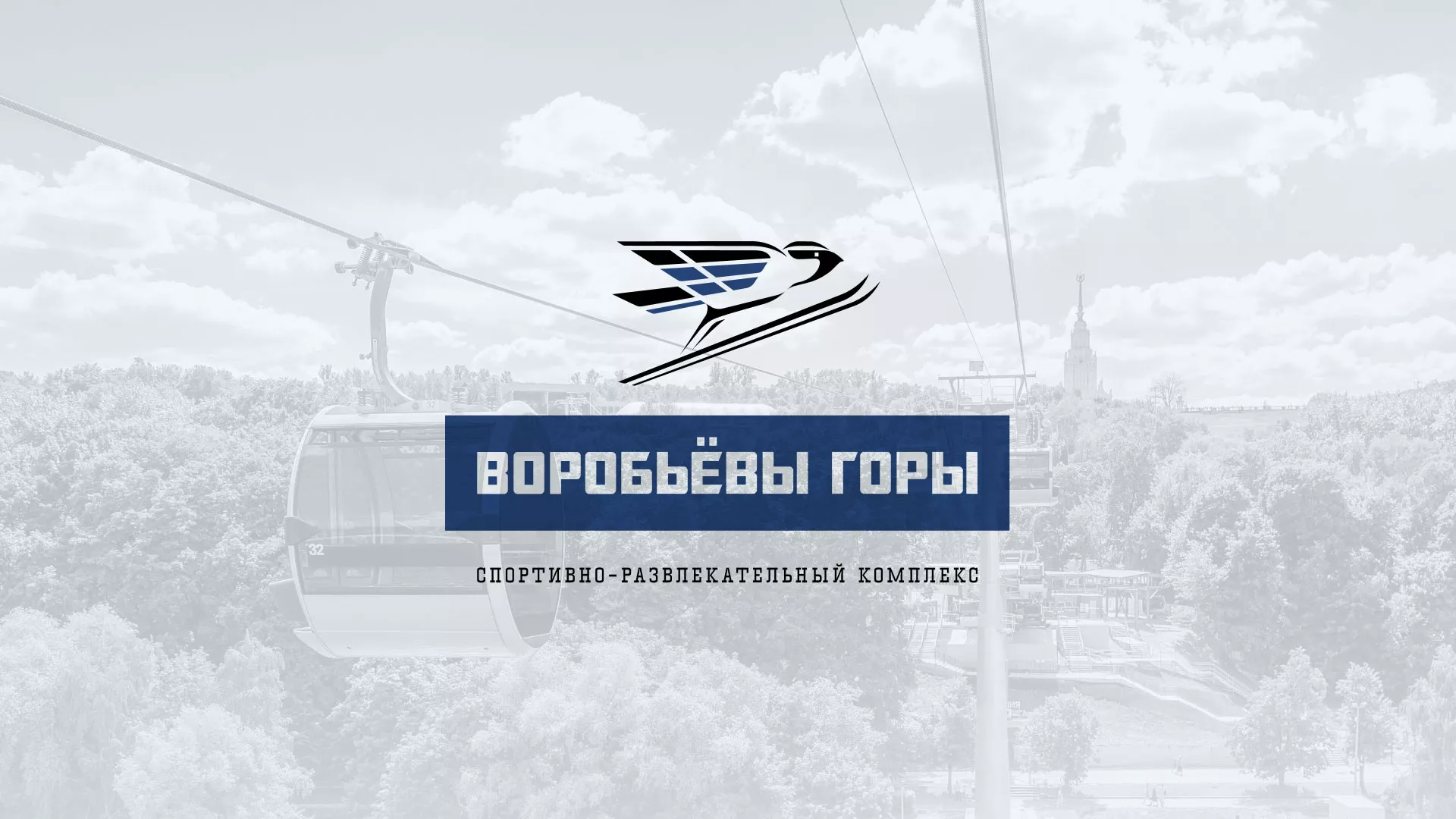 Разработка сайта в Бабушкине для спортивно-развлекательного комплекса «Воробьёвы горы»