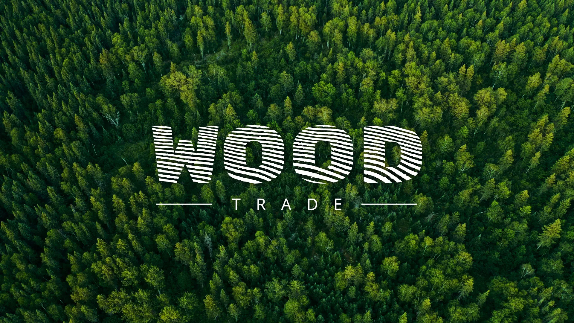 Разработка интернет-магазина компании «Wood Trade» в Бабушкине