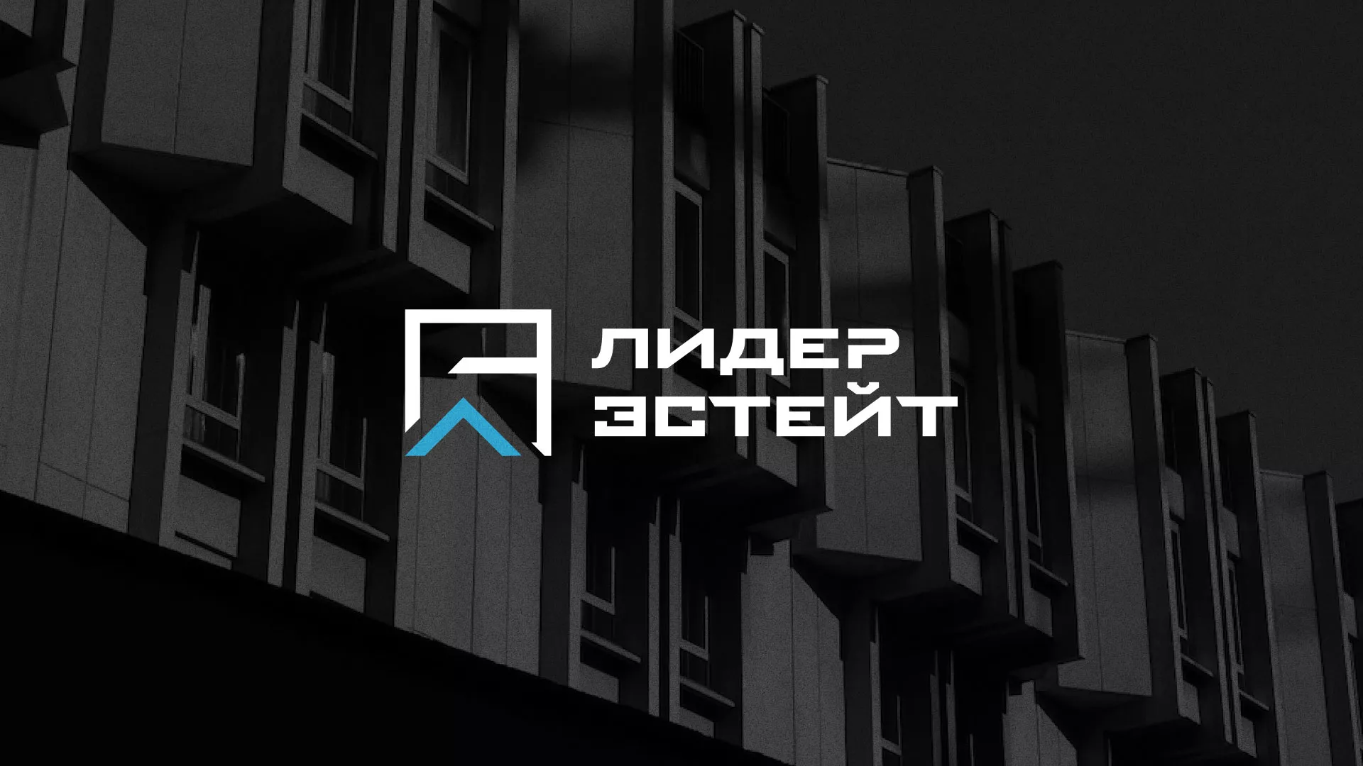 Разработка логотипа агентства недвижимости «Лидер Эстейт» в Бабушкине